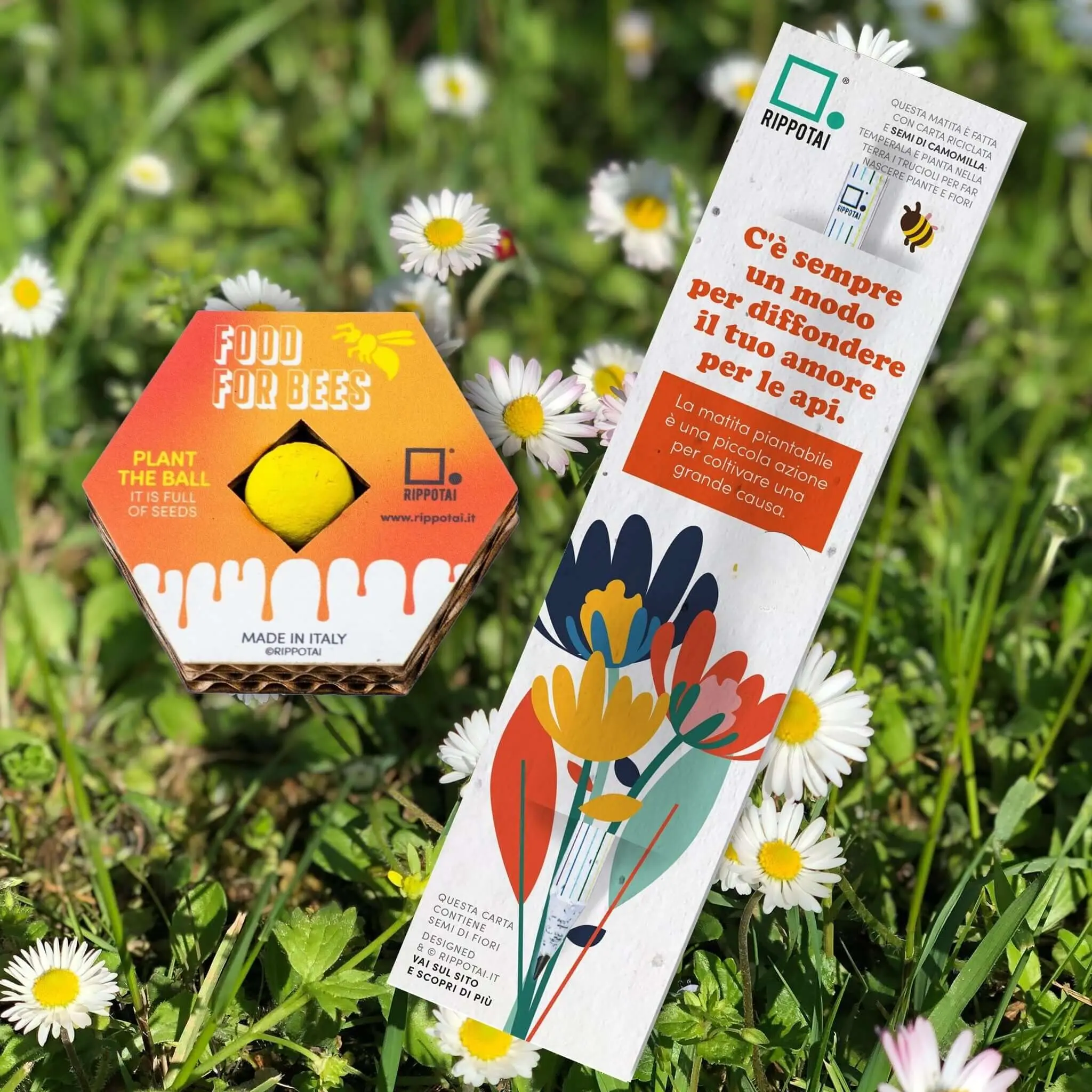 Fiori per Api – Kit Biodiversità con Matita Piantabile e Bomba Semi