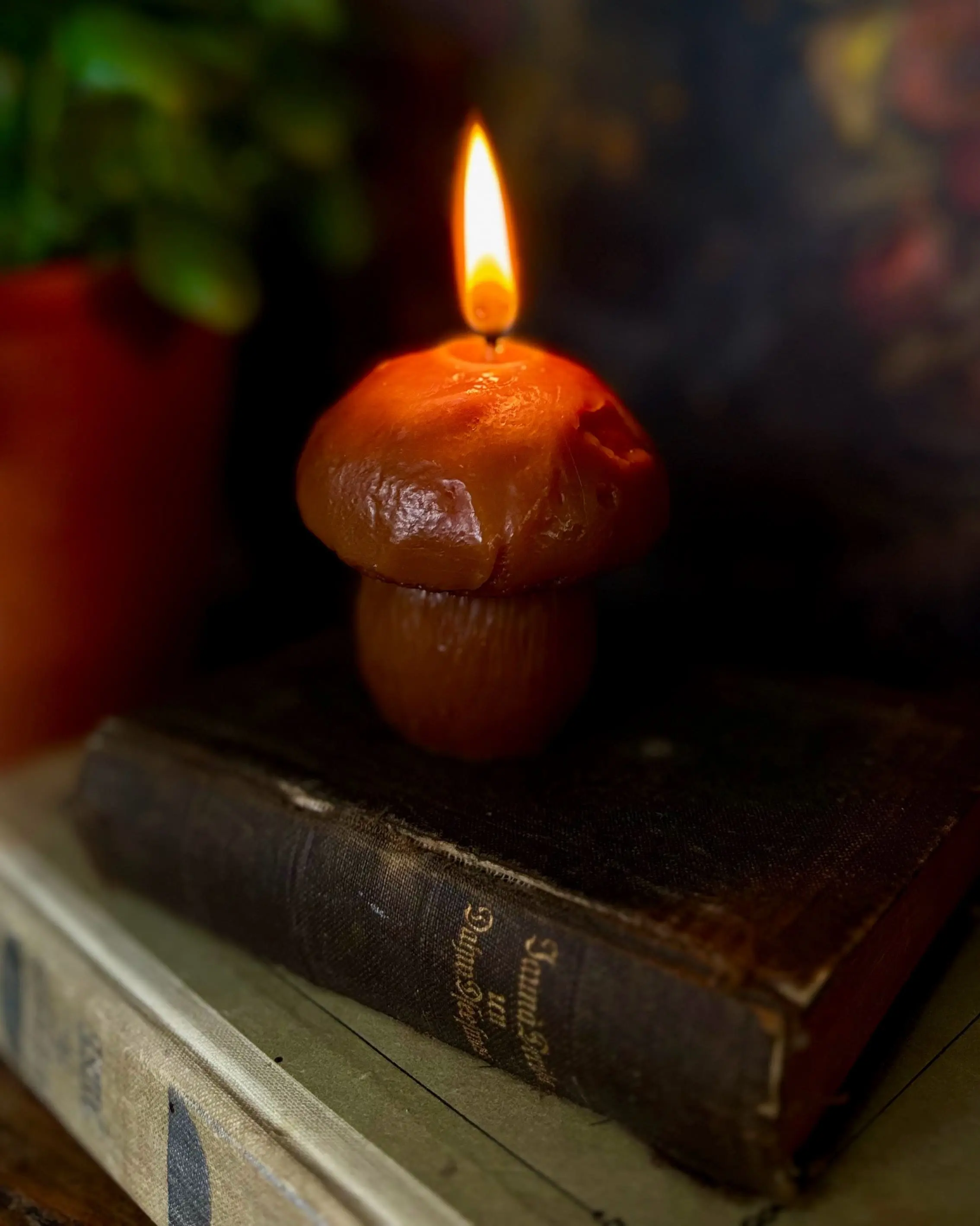 Boletus Candle: Natural Beeswax, 9-Hour Burn Time