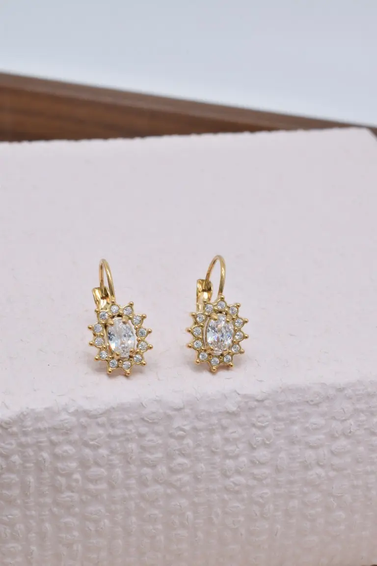 Stainless steel crystal sleeper earrings - BO100549OR-BC