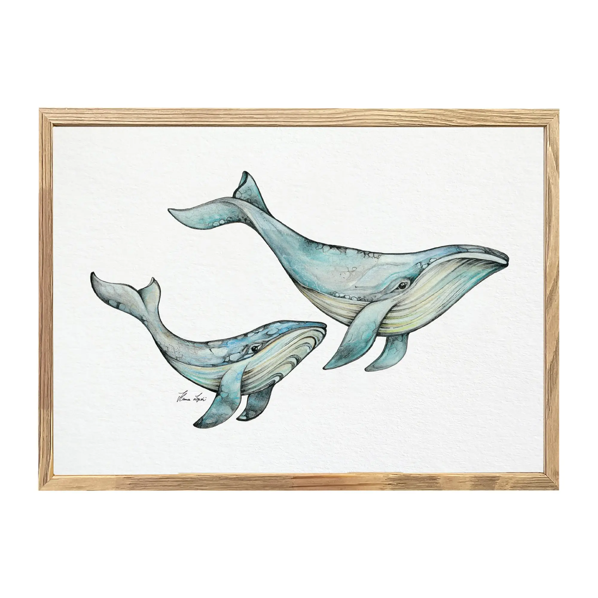 Kunstdruck - Blauwale