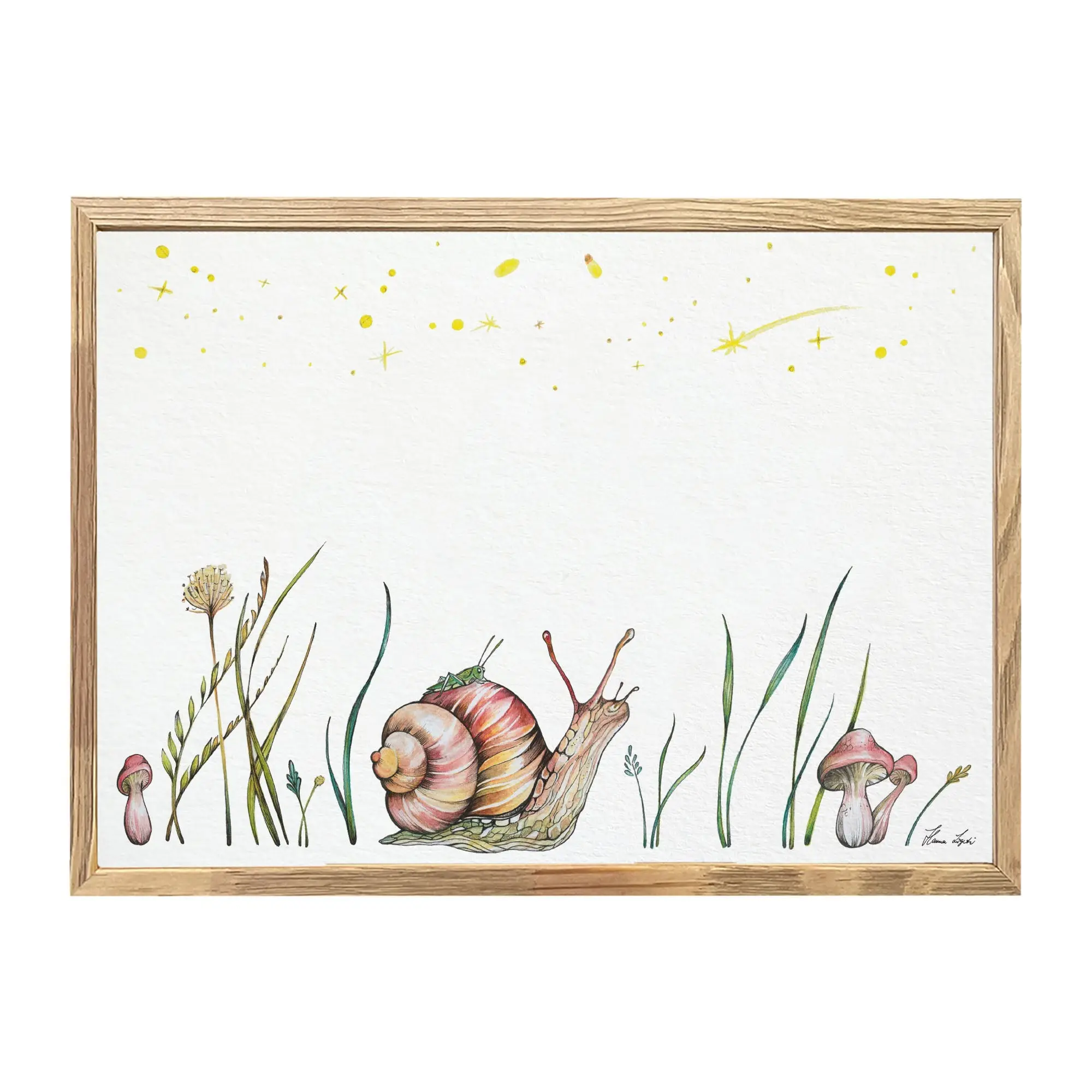 Kunstdruck - Sternengucker (Grashüpfer & Schnecke)