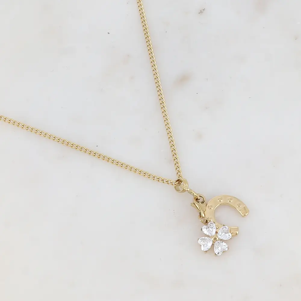 Collier maille avec fleur sertie de zircons et fer à cheval