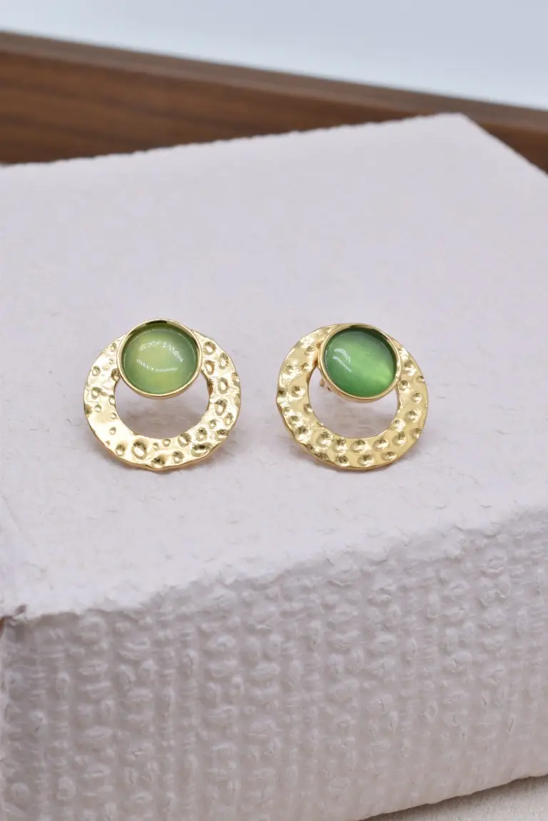 Boucles d'oreilles en acier inoxyable - BO100550OR-VR