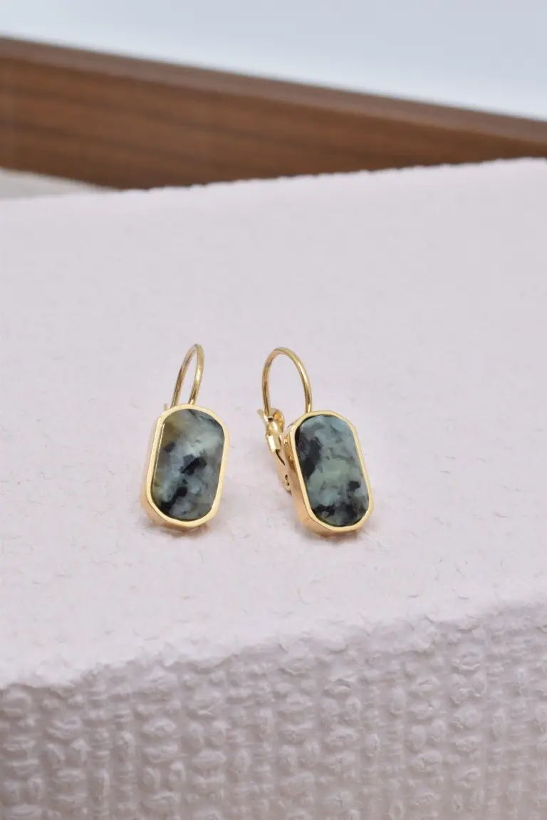 Boucles d'oreilles en acier inoxydable - BO210105OR-VR
