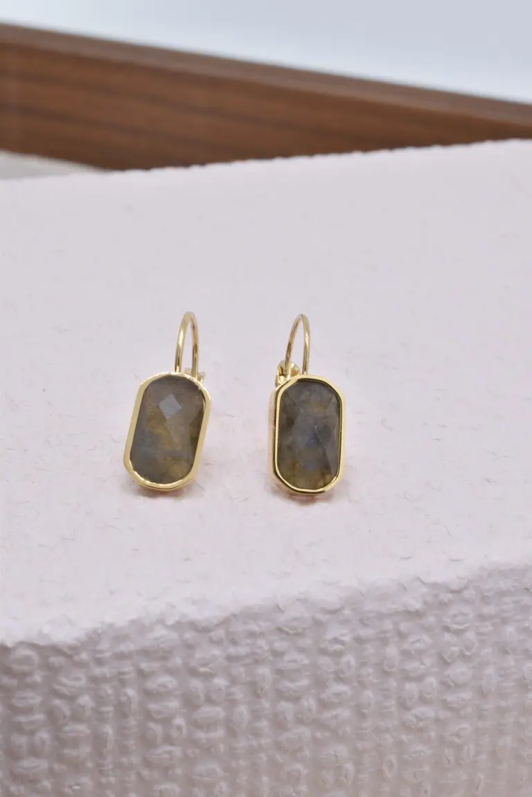 Boucles d'oreilles en acier inoxydable - BO210105OR-GR