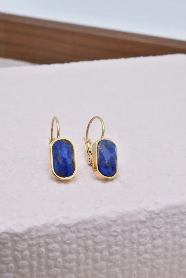 Boucles d'oreilles en acier inoxydable - BO210105OR-BLM