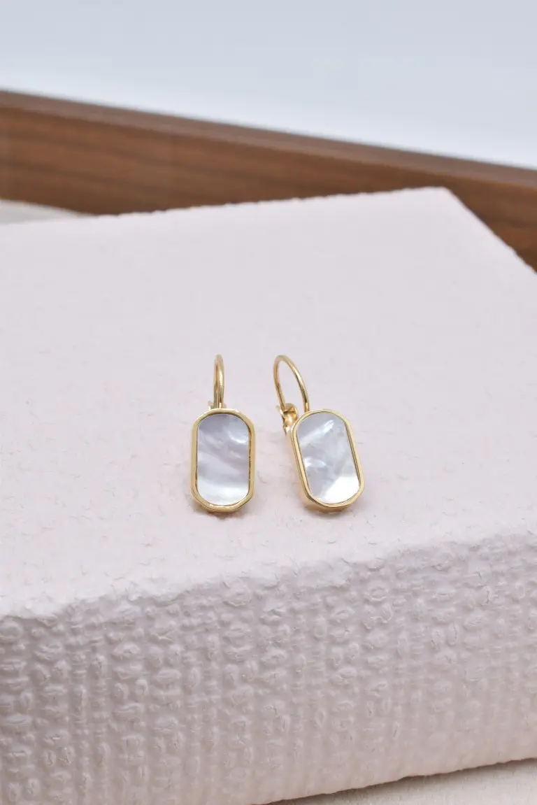 Boucles d'oreilles en acier inoxydable - BO210105OR-NA