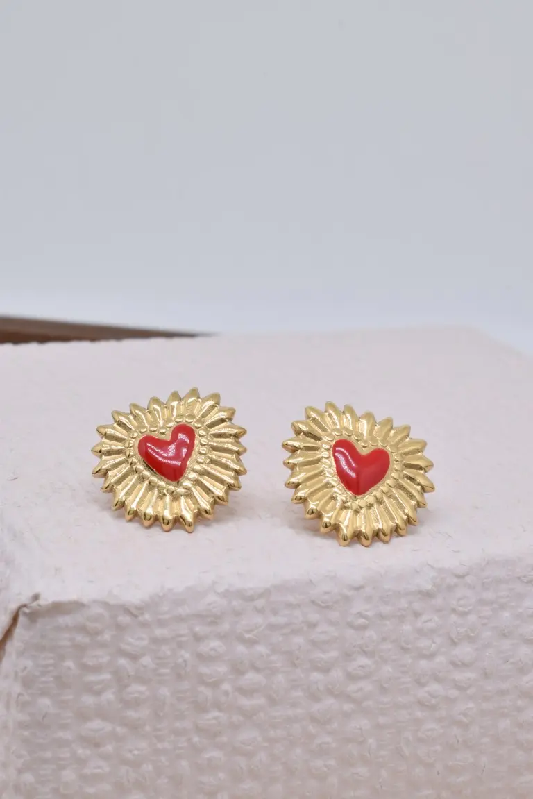 Boucles d'oreilles coeur en acier inoxyable - BO100557OR