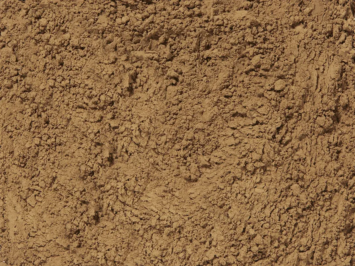 Thé vert Hojicha Japonais en poudre - vrac 1kg