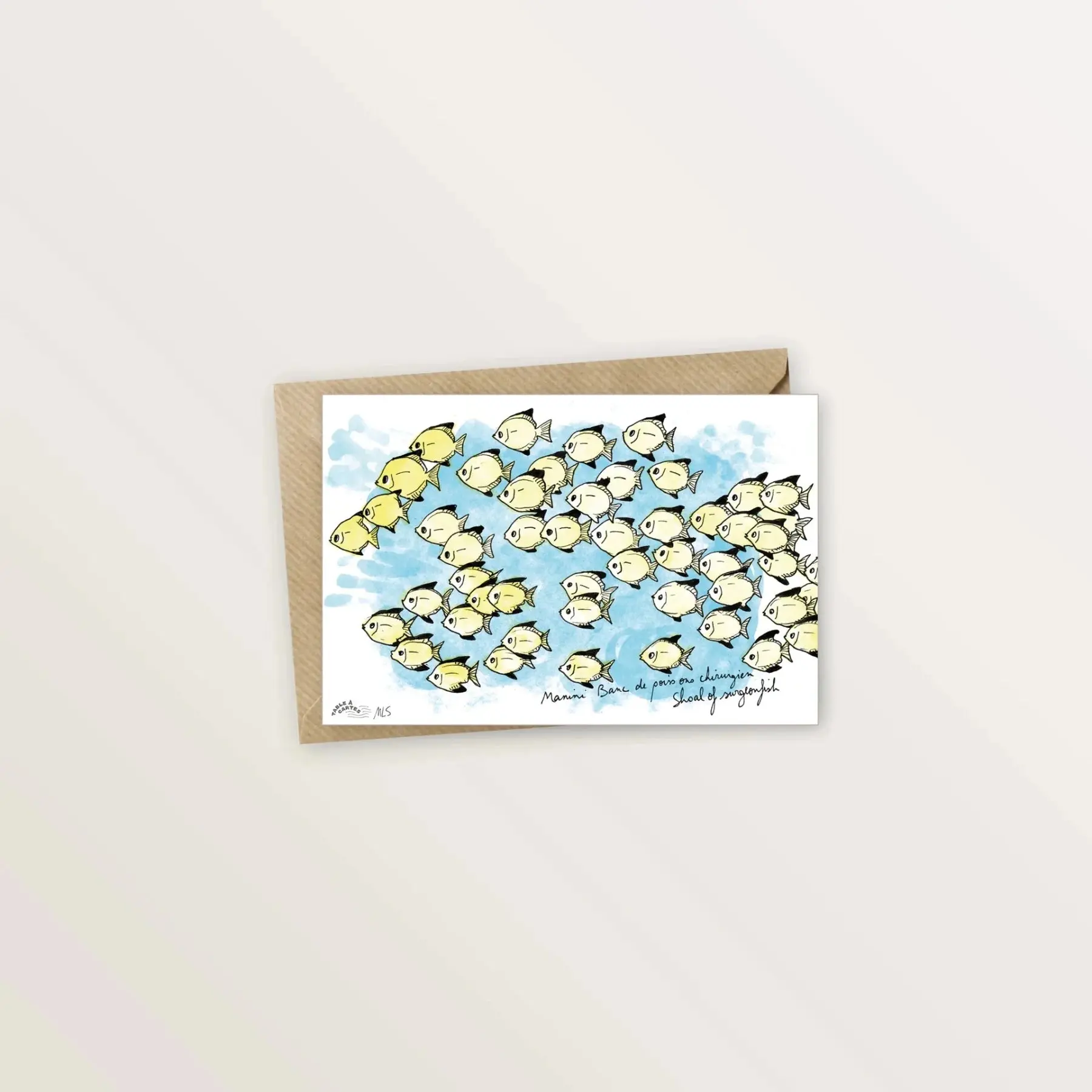 Carte postale - Poissons chirurgien