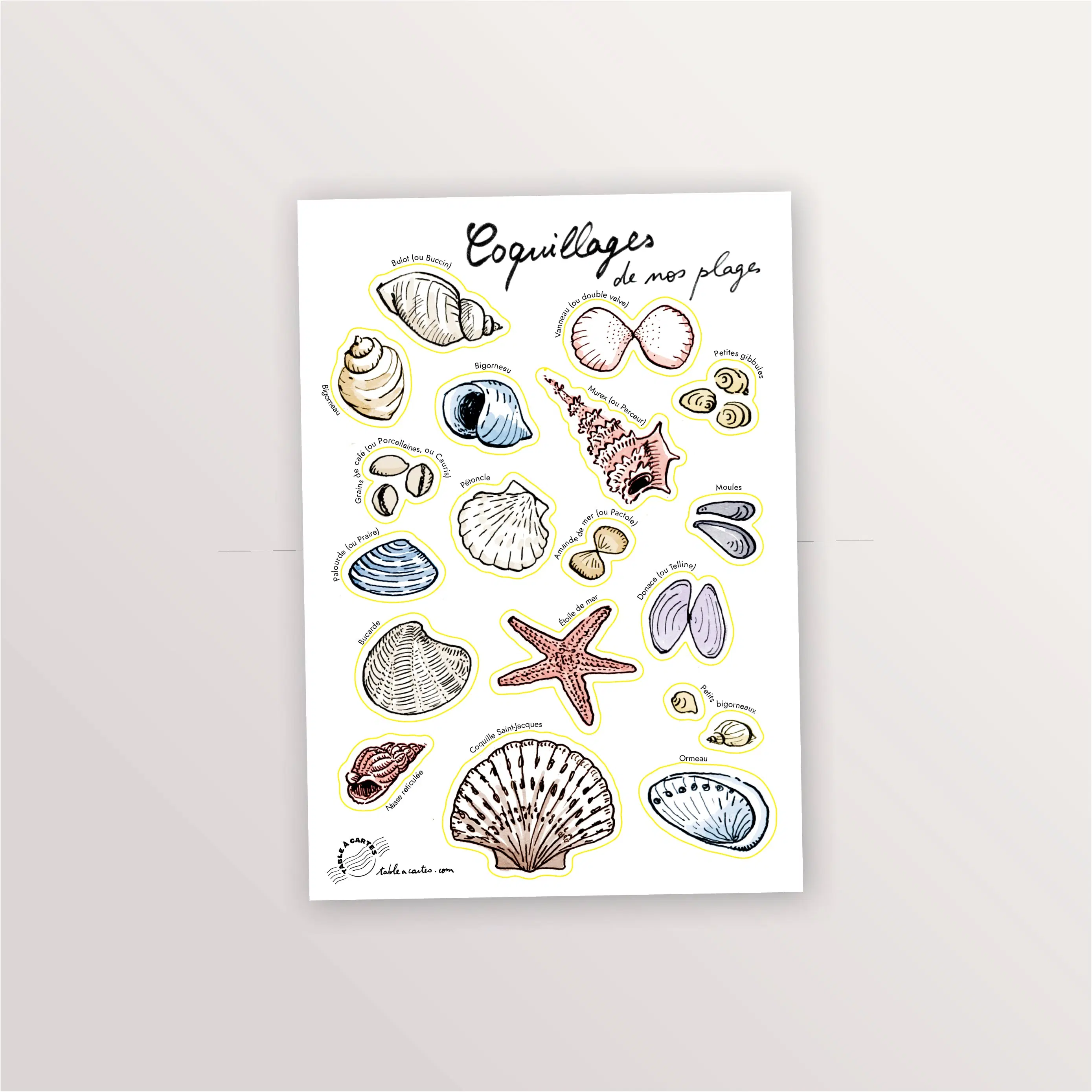 Planche de stickers A5 : Coquillages