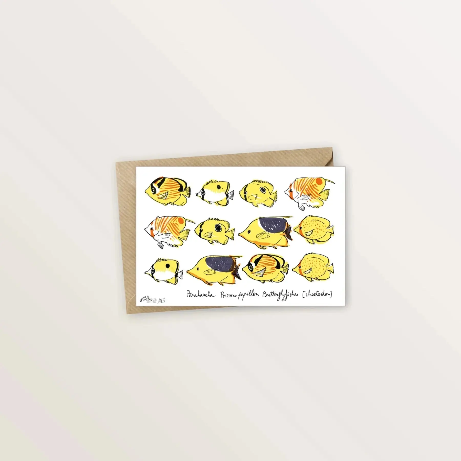 Carte postale - Poissons papillon