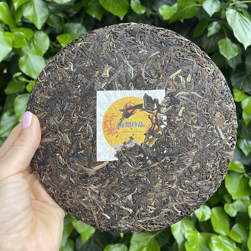 Tè Puer Sheng (crudo) Bulang Treasure 2020 Torta 357g 10g