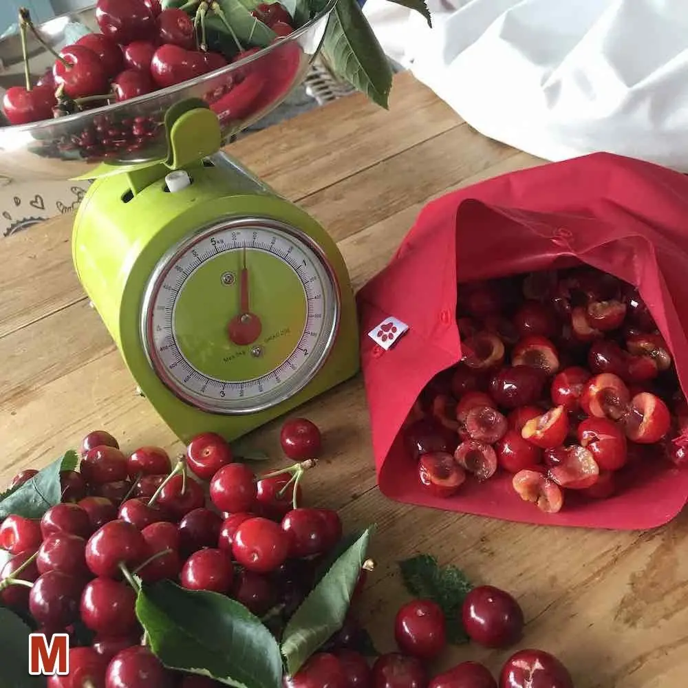 Sac Congélation Réutilisable Flaxie Freeze Moyen 1,75 L