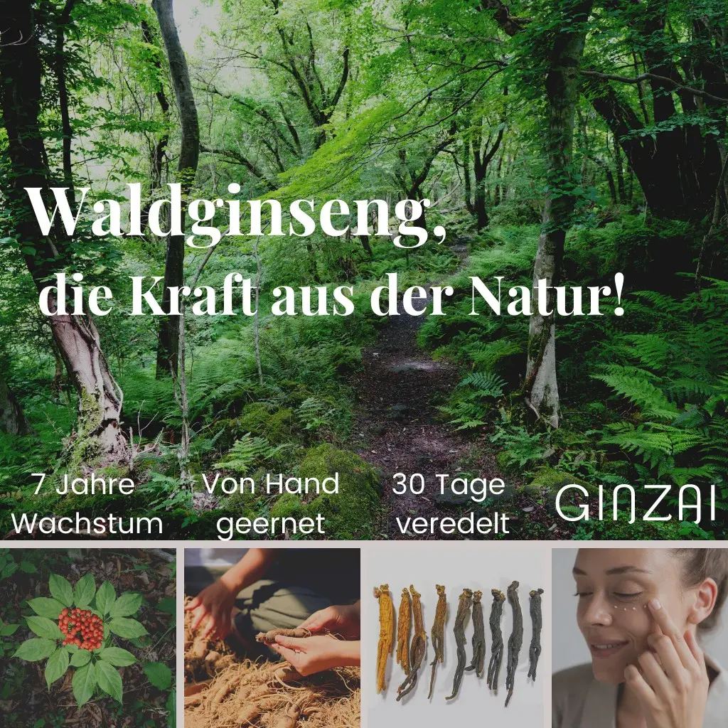 Haarpflege-Elixir mit koreanischem Premium Ginseng (Waldginseng) - 100 ml