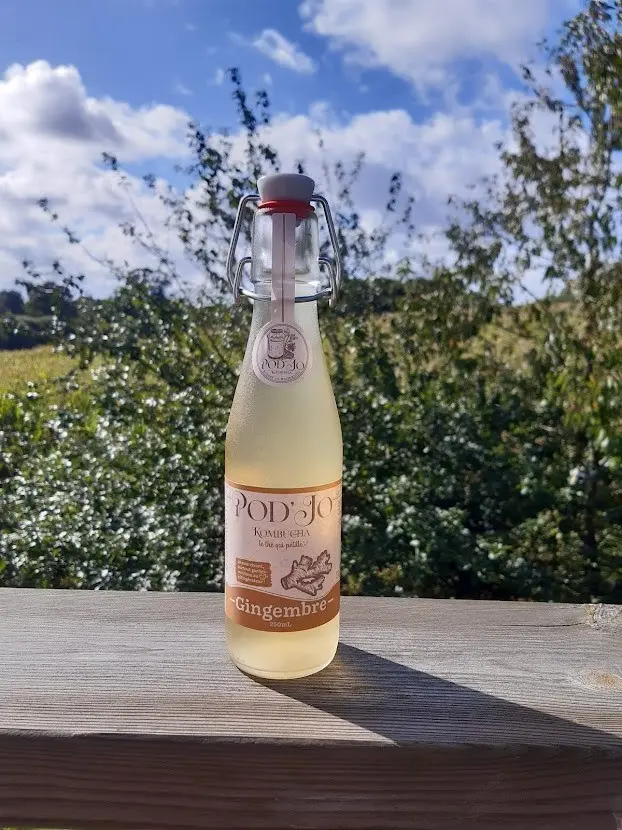 Pod'Jo kombucha Ginger 250ml