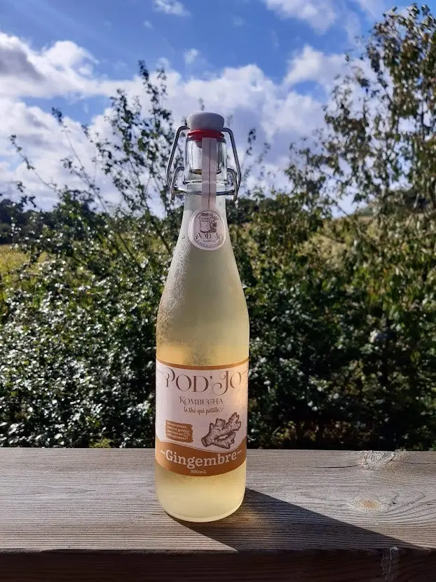 Pod'Jo kombucha Ginger 500ml