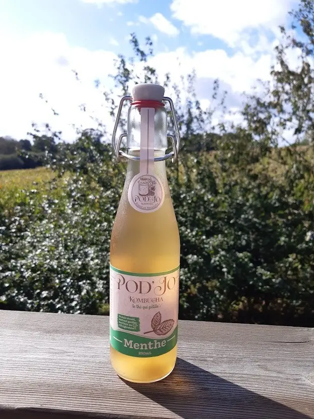 Pod'Jo kombucha mint 250ml