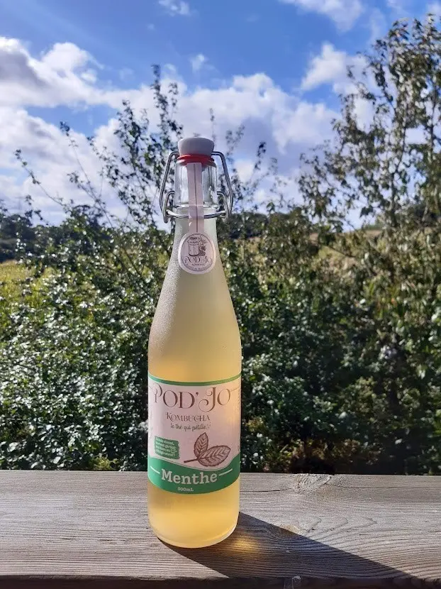 Pod'Jo kombucha Mint 500ml