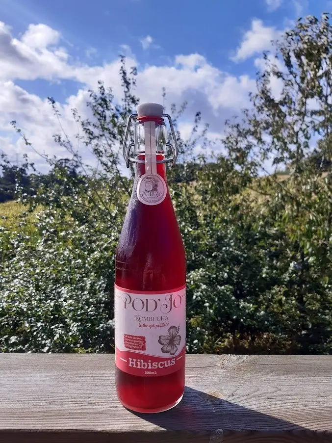 Pod'Jo kombucha Hibiscus 500ml
