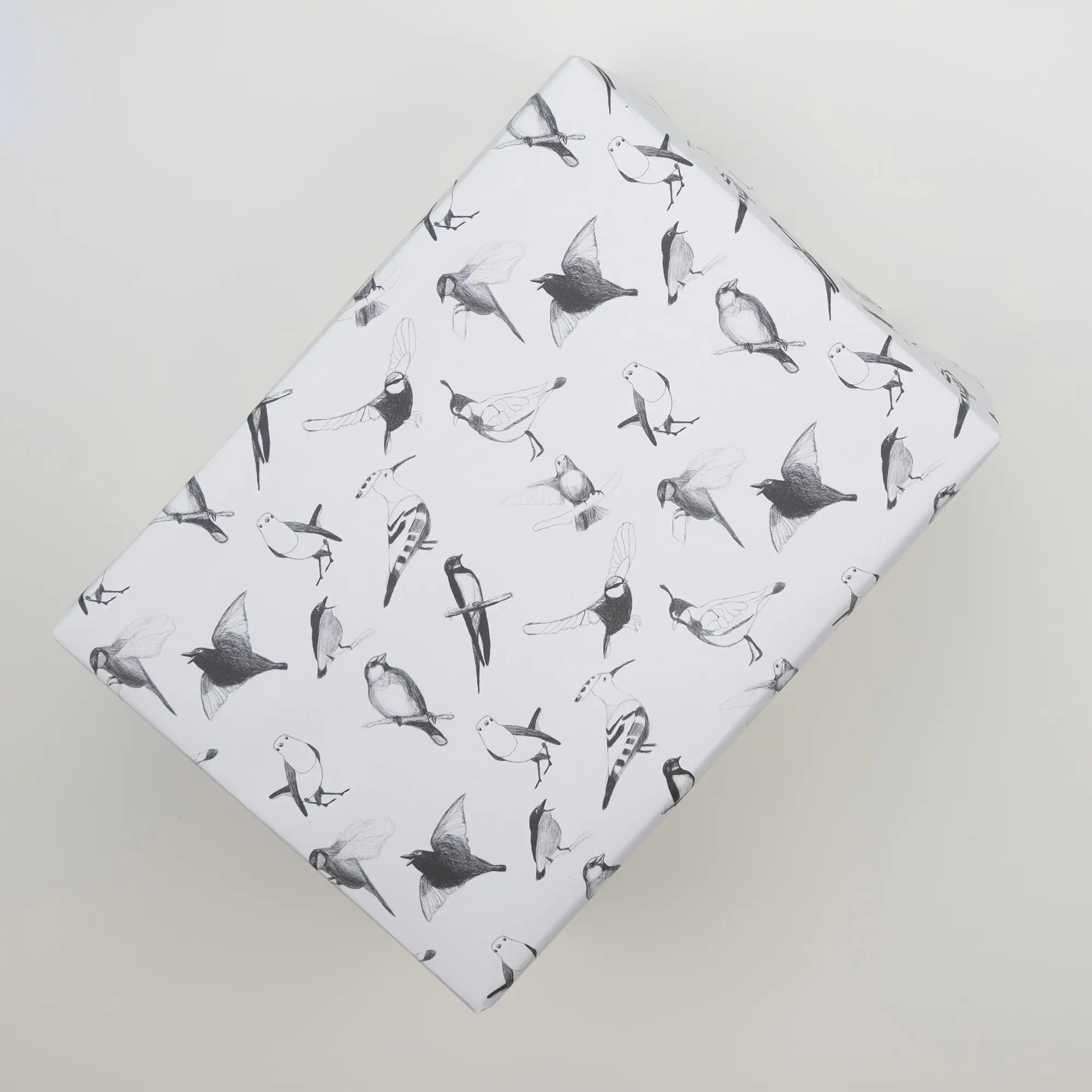 Papier cadeau »Dessins d'oiseaux«