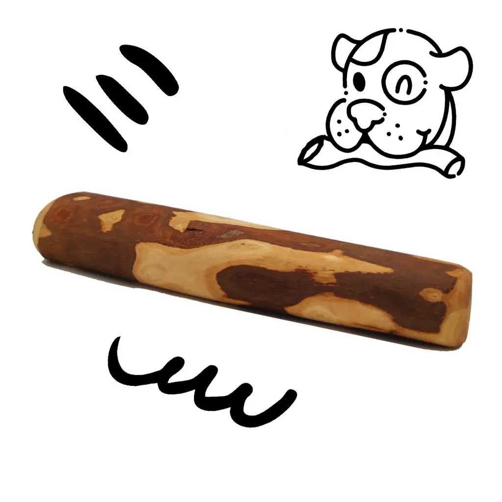 XL size gnawing olive wood
