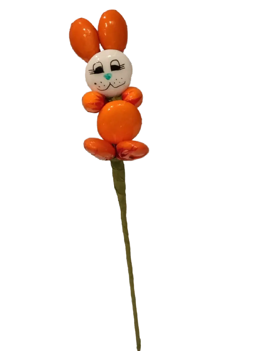 Little chocolate dragee bunny