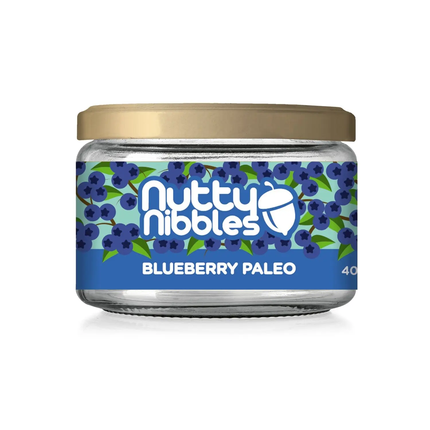 Blueberry Paleo Nutty Nibbles