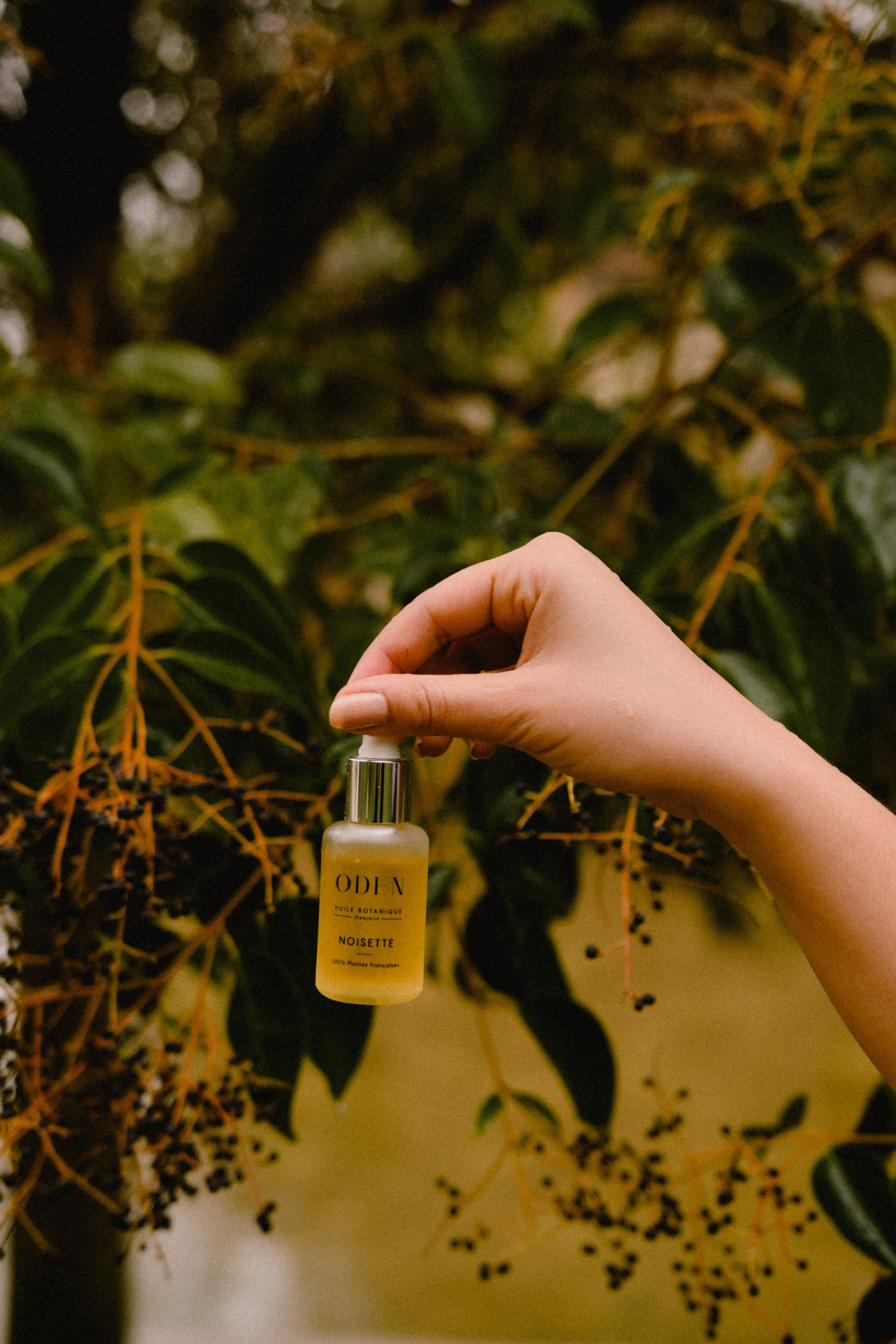 Aceite facial de avellana francesa: regulador y equilibrante para pieles mixtas