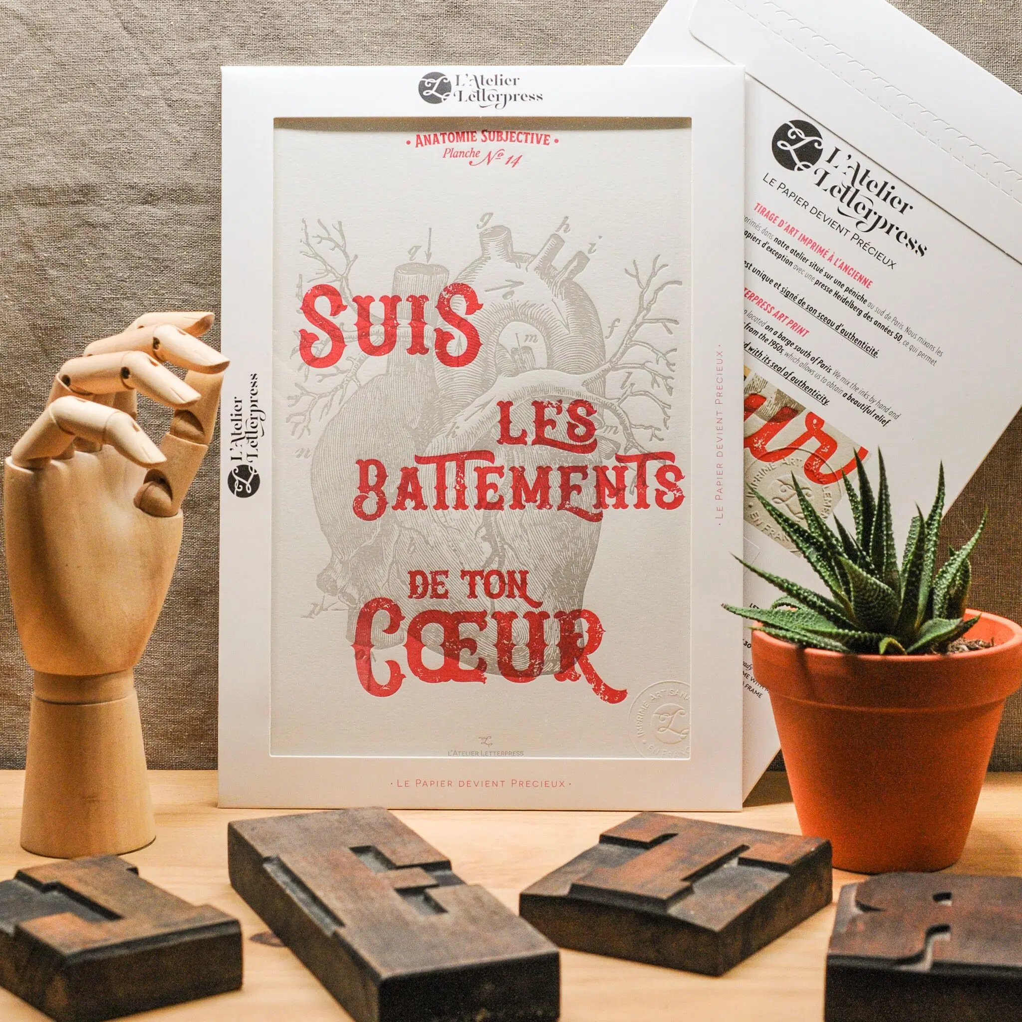 Affiche Letterpress Suis les Battements de ton Coeur, A4, holistique, vintage, anatomie, rouge
