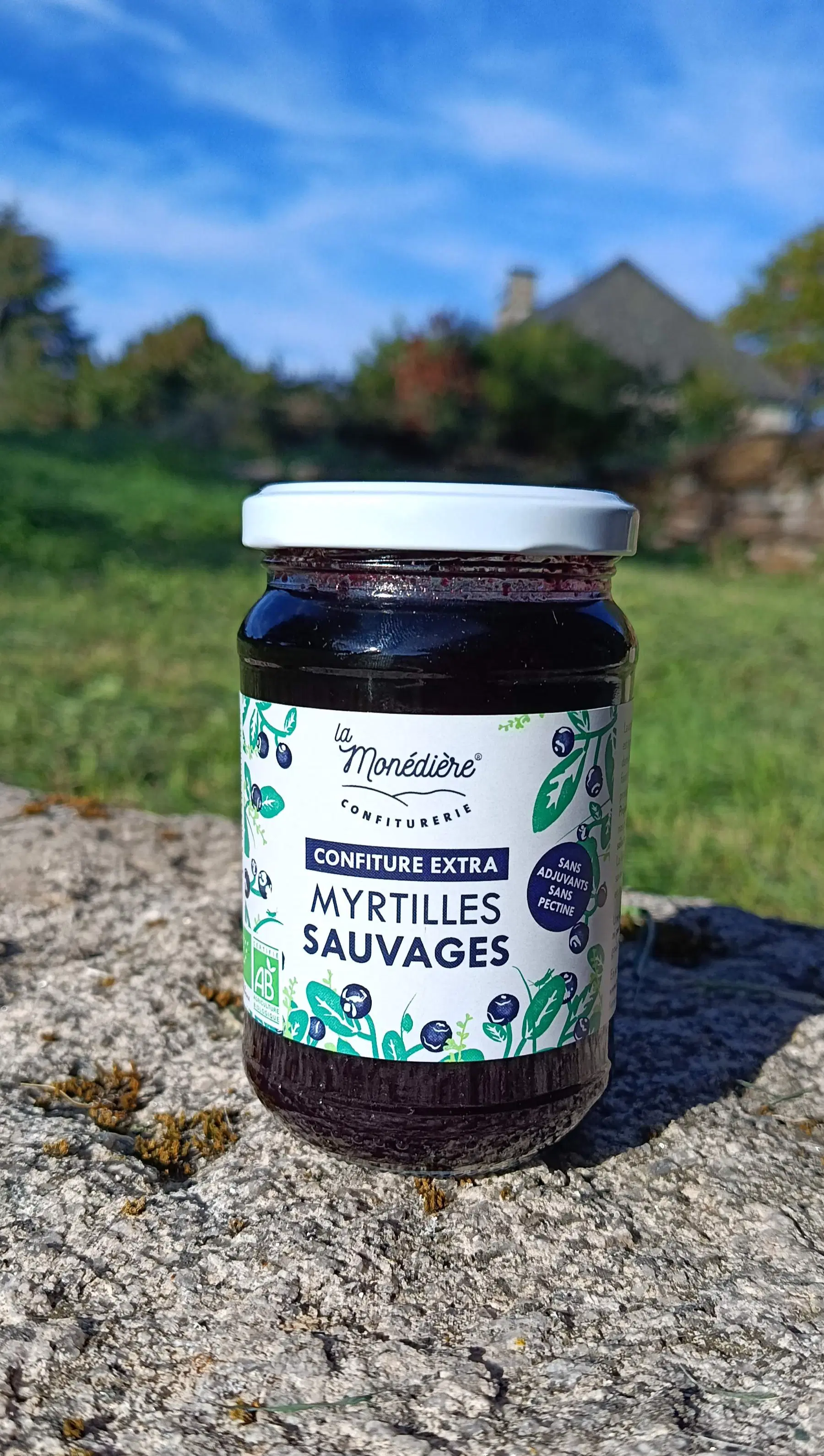 Extra Wild Blueberry Jam 340g