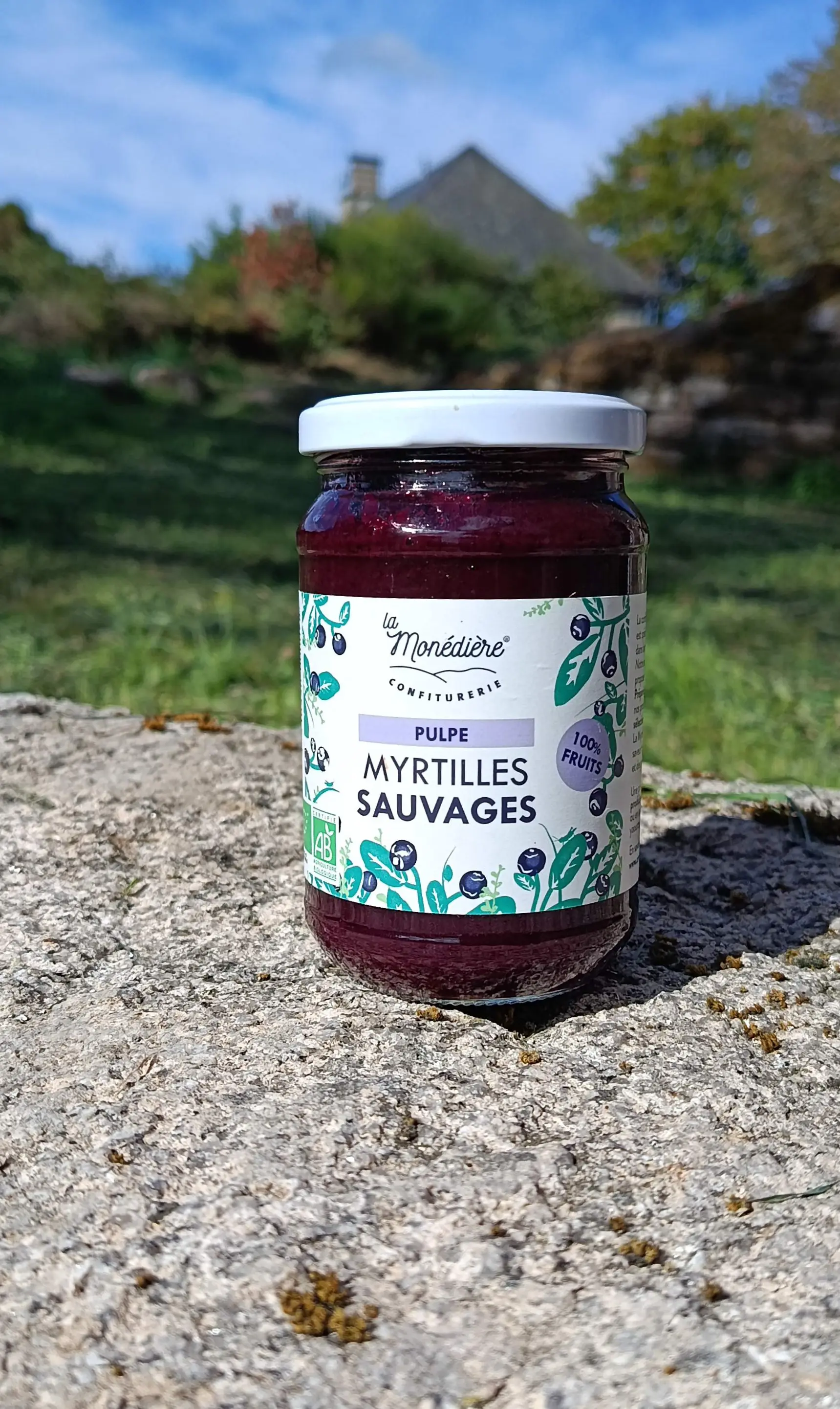 100% Wild Blueberry Pulp La Monédière 270g