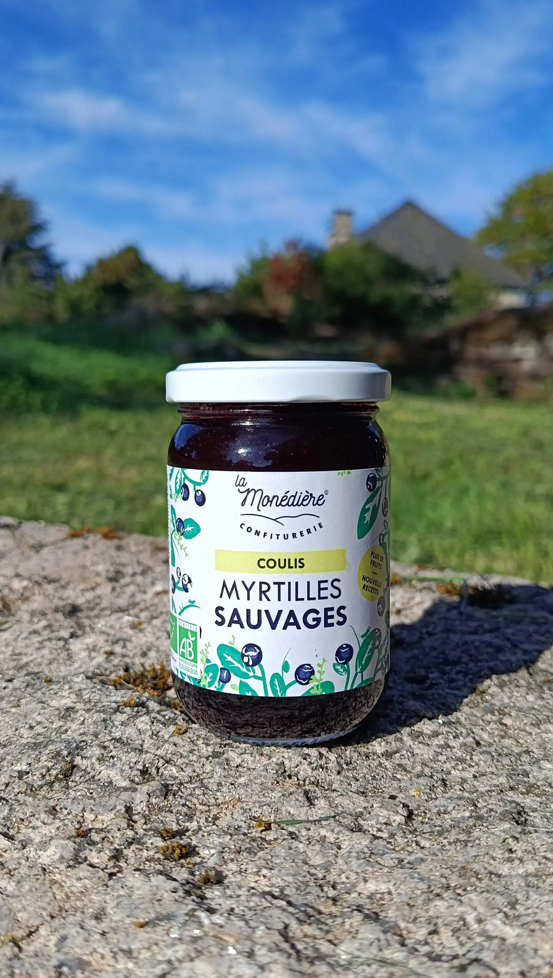 Wild Blueberry Coulis 210g