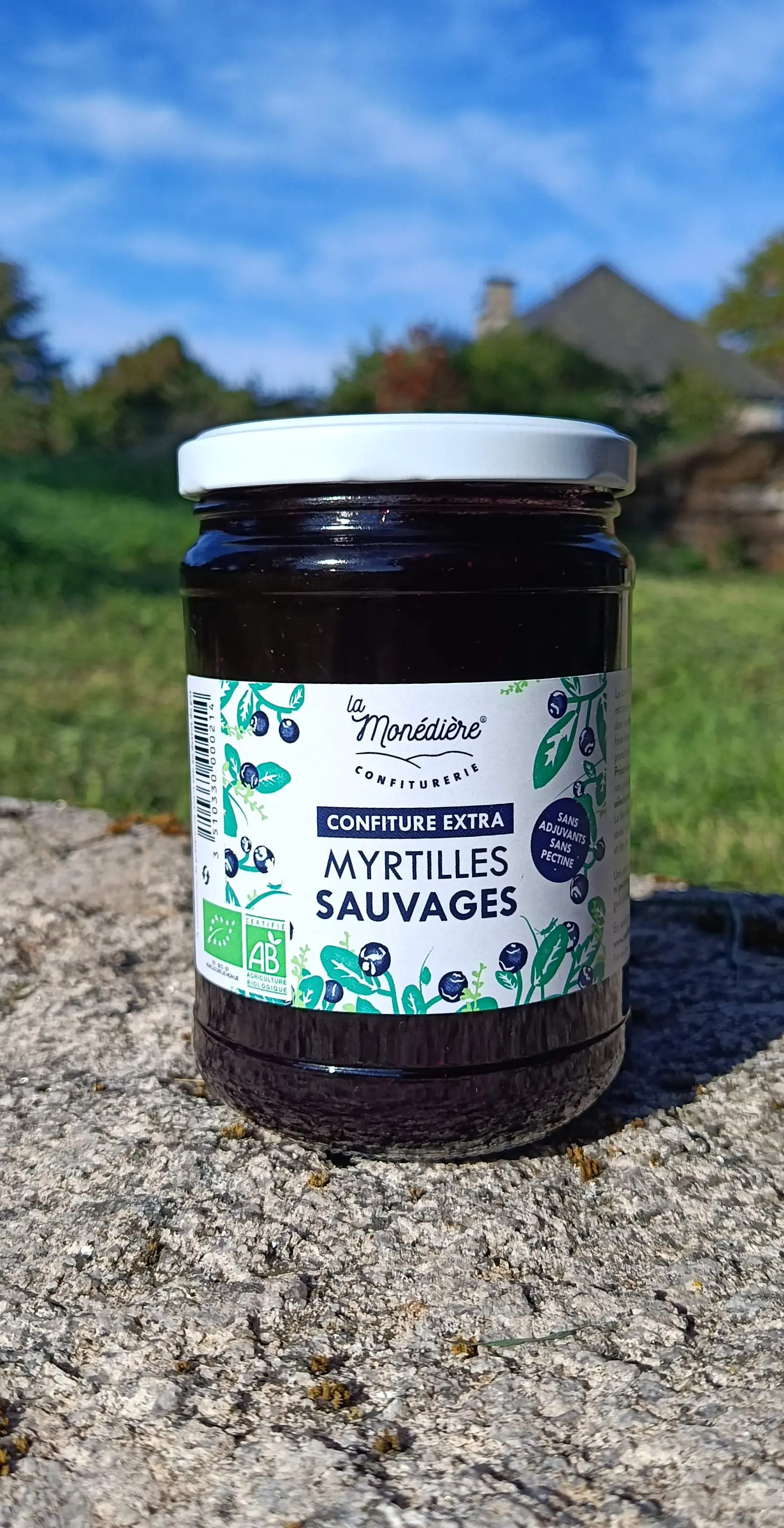 Extra Wild Blueberry Jam 660g